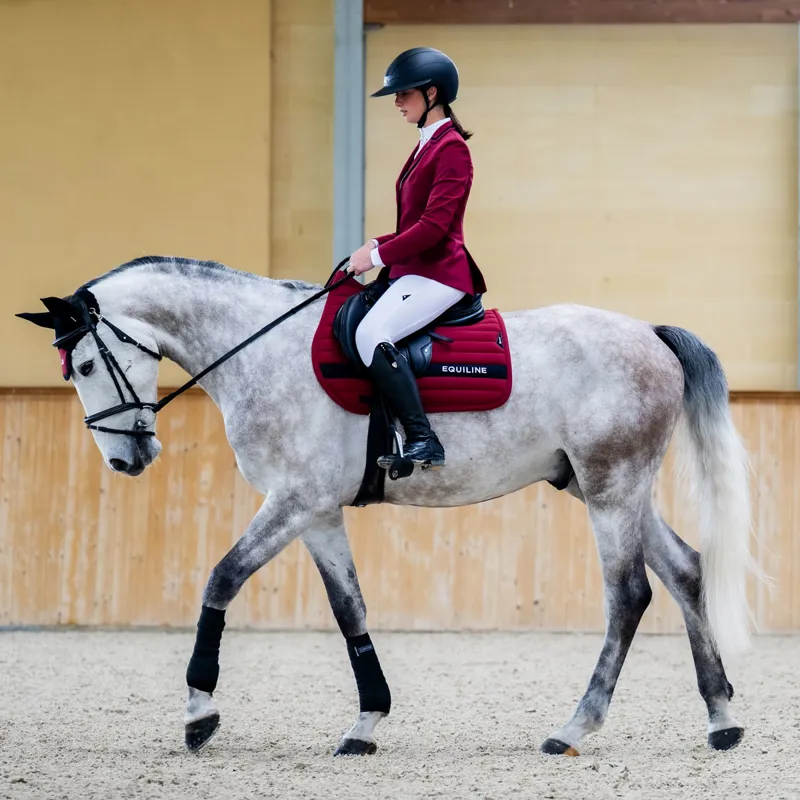 Equiline Eqcat Womens Show Jacket - Alpine Plum Pre-Order-5