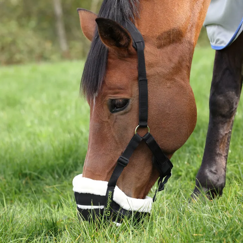 FreeGraze Airflow Deluxe Grazing Muzzle - Black-2