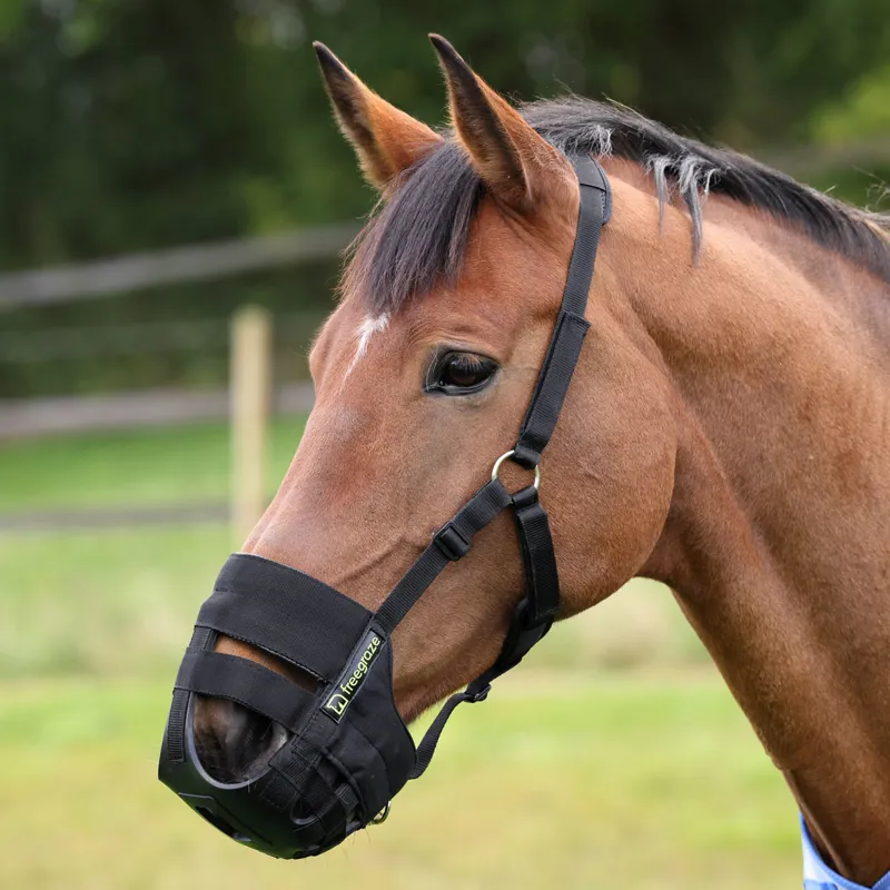 FreeGraze Airflow Grazing Muzzle - Black