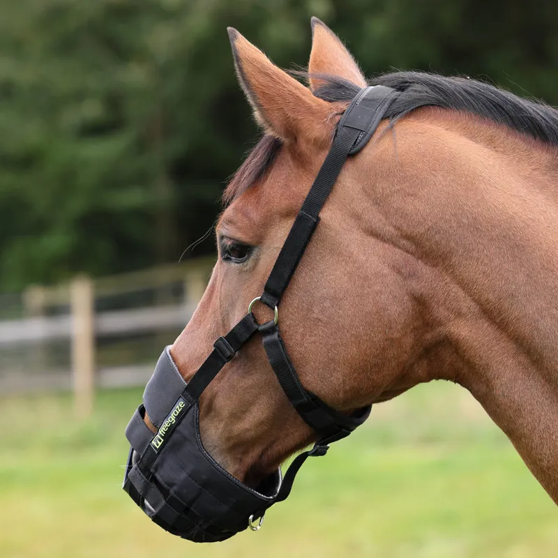 FreeGraze Airflow Grazing Muzzle - Black-1