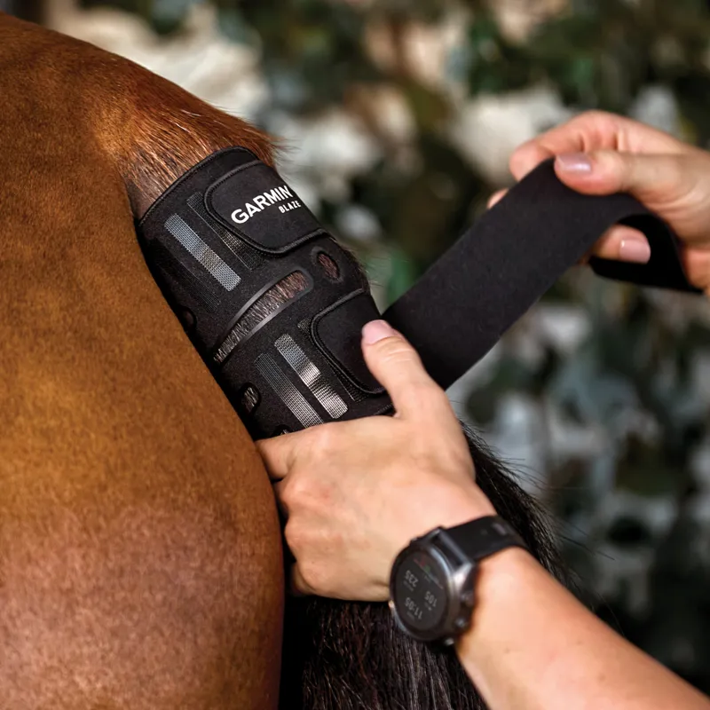 Garmin Blaze Equine Wellness System-2