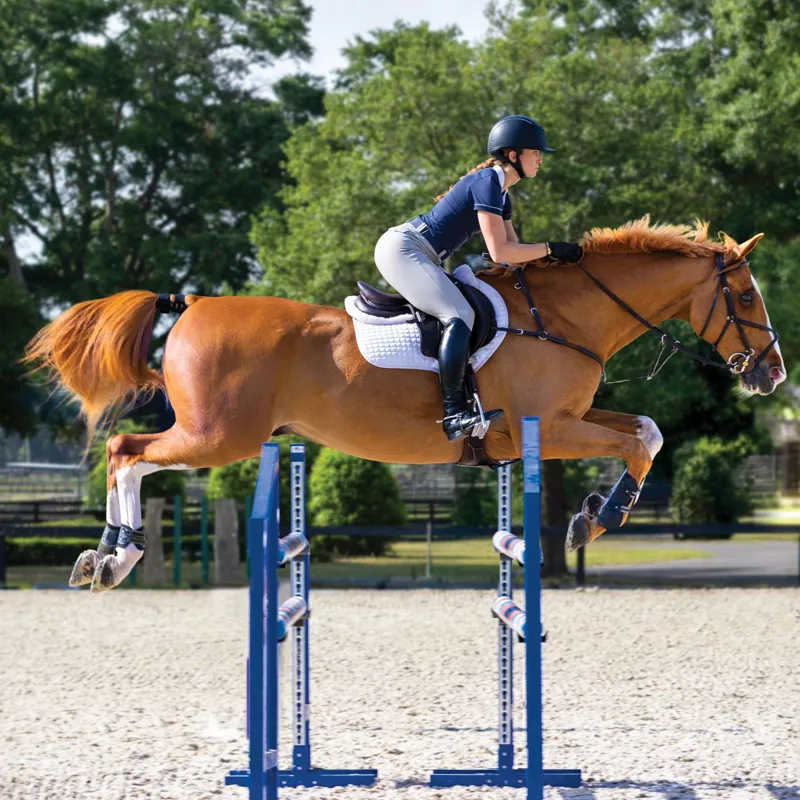 Garmin Blaze Equine Wellness System-7