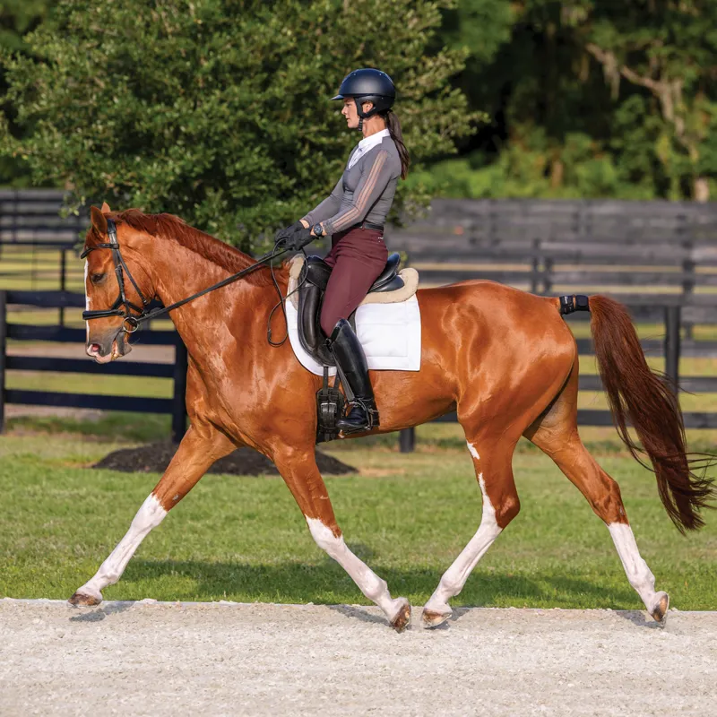 Garmin Blaze Equine Wellness System-8