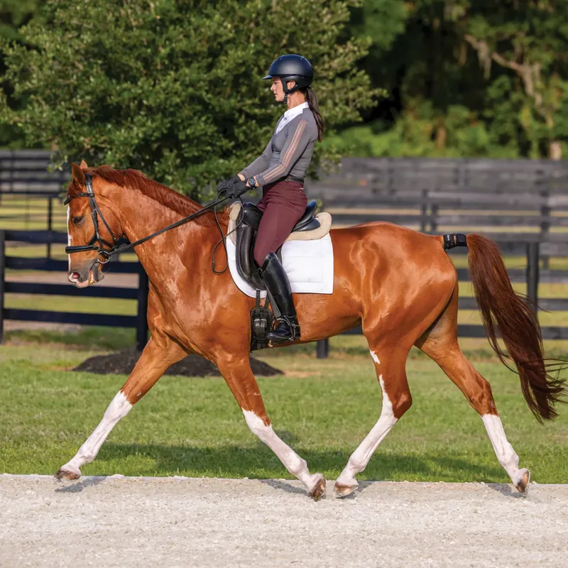 Garmin Blaze Equine Wellness System - TRIAL-7