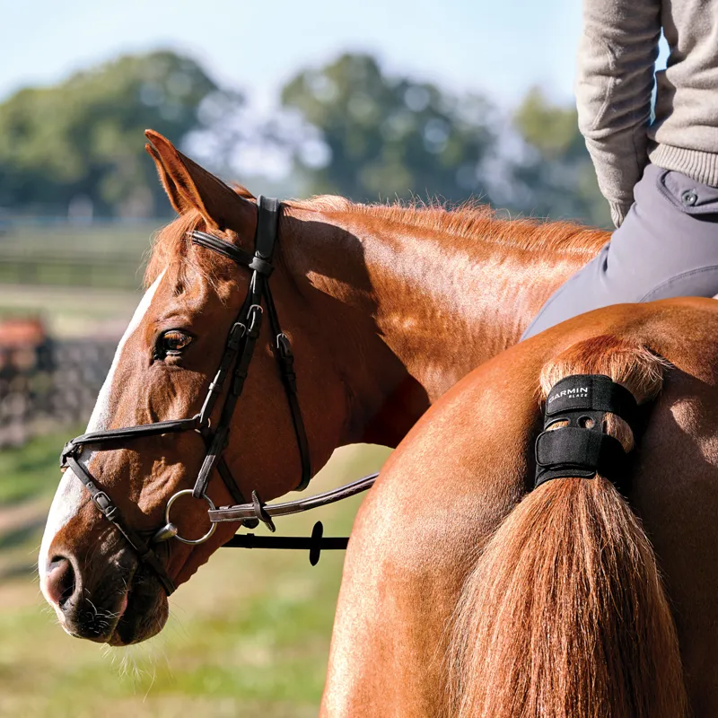 Garmin Blaze Equine Wellness System-1