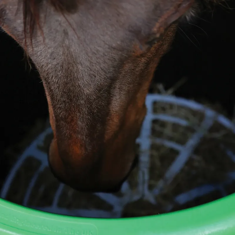 Haygain Forager Slow Feeder-3