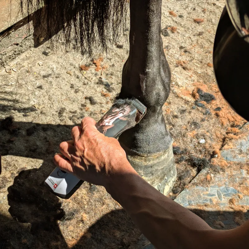 Heiniger Opal Horse Clippers - 10WF Blade-8