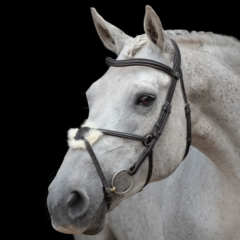 Henry James Mexican Grackle Bridle - Black-2