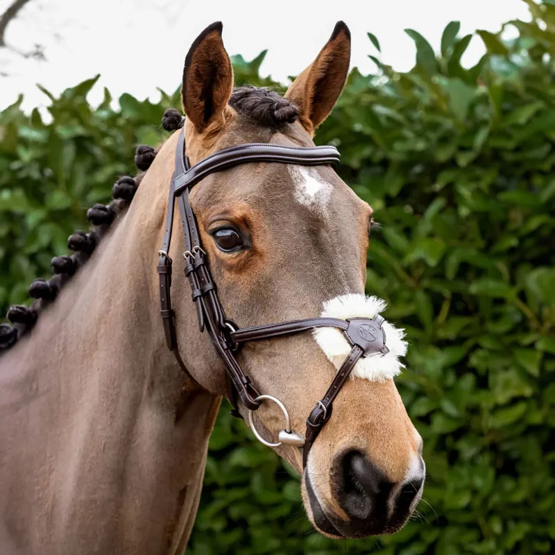 Henry James Mexican Grackle Bridle - Havana Brown-1