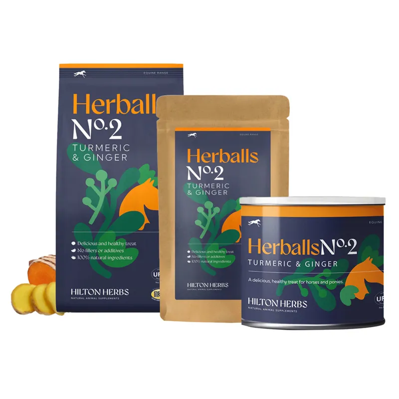 Hilton Herbs Herballs No.2 Treats - Turmeric/Ginger