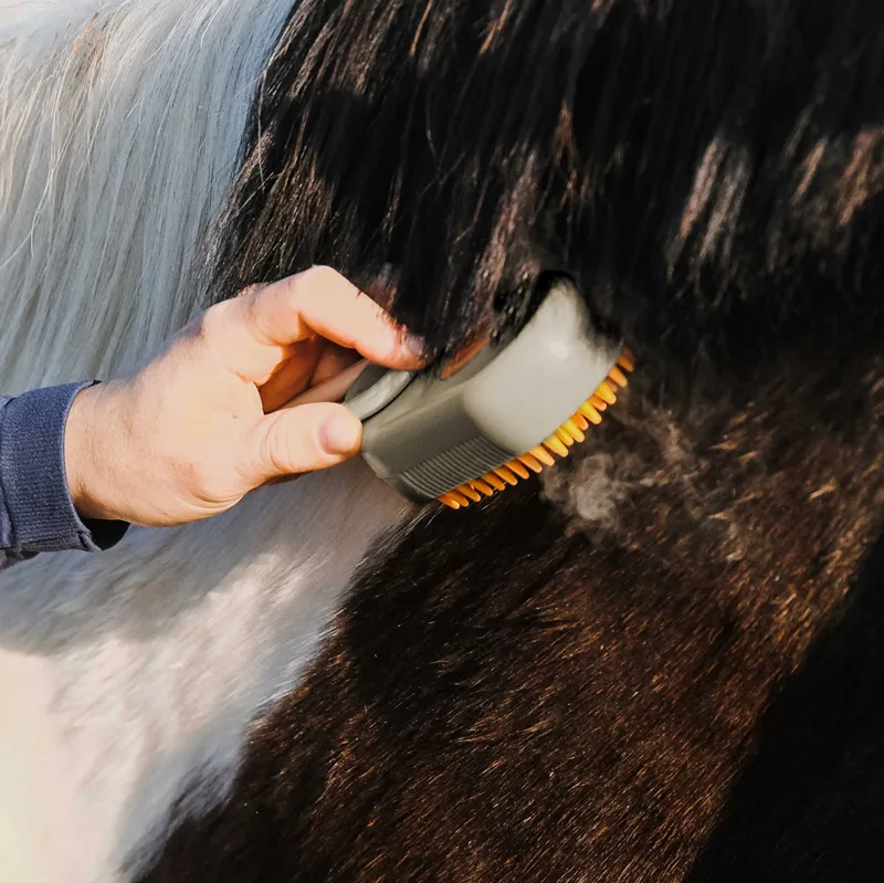 Hippo-Tonic Steam Curry Comb with Handle-1