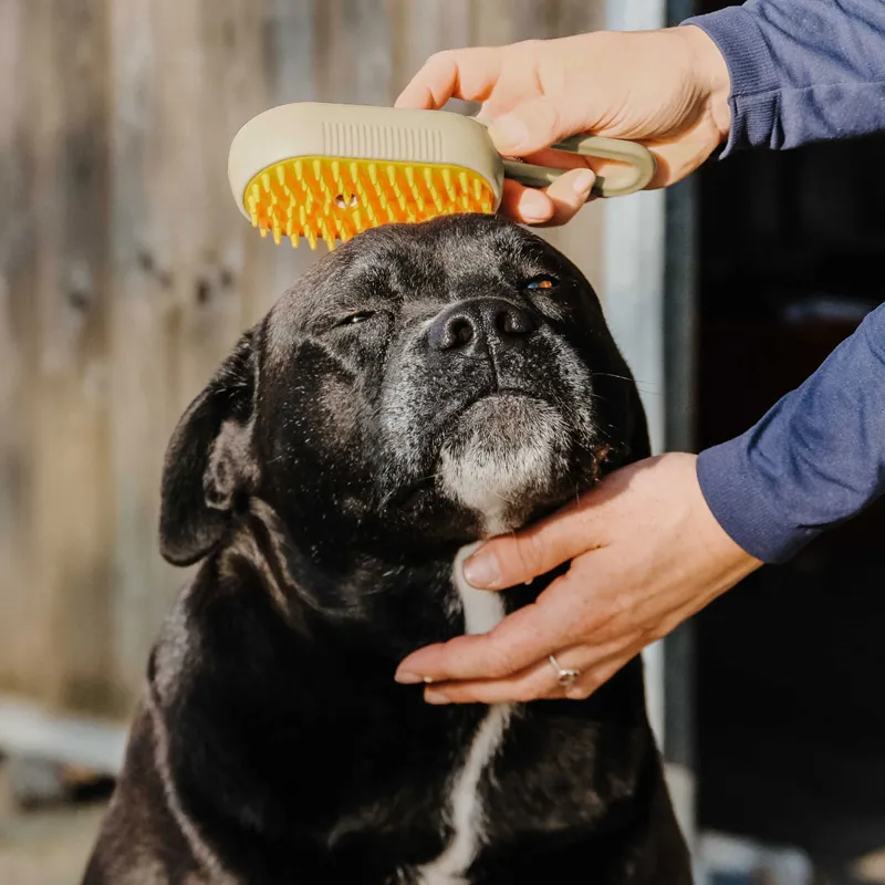 Hippo-Tonic Steam Curry Comb with Handle-2