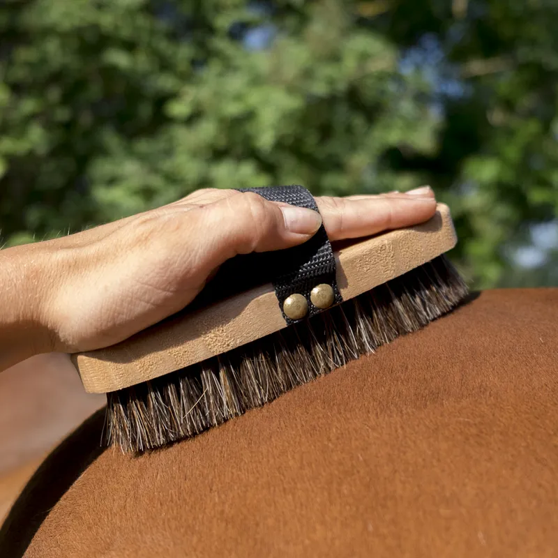 Hippotonic Extra Soft Body Brush-1