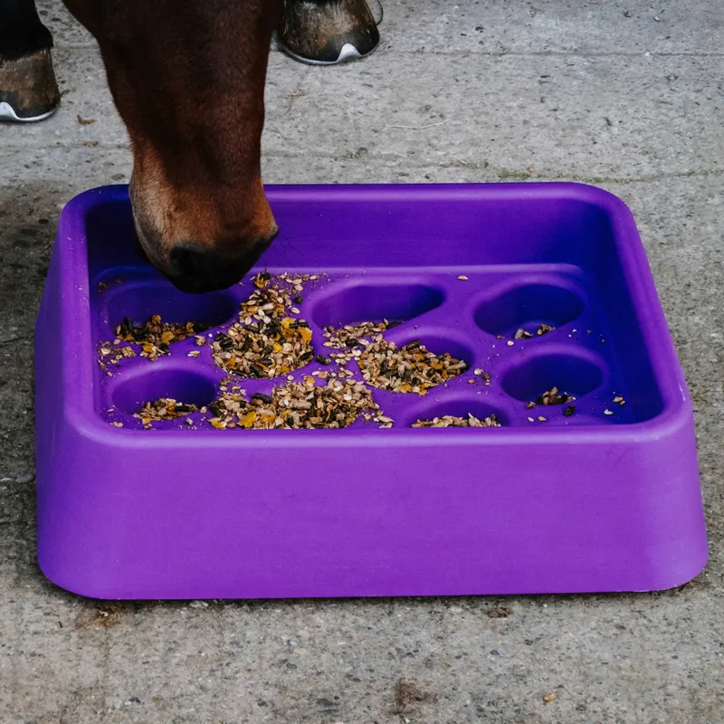 Hippo-Tonic Anti-Gorging Gradual Feeder - Purple