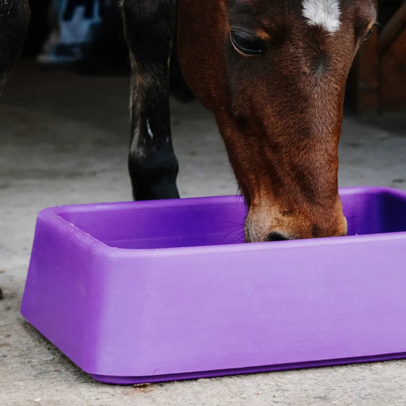 Hippo-Tonic Anti-Gorging Gradual Feeder - Purple-1