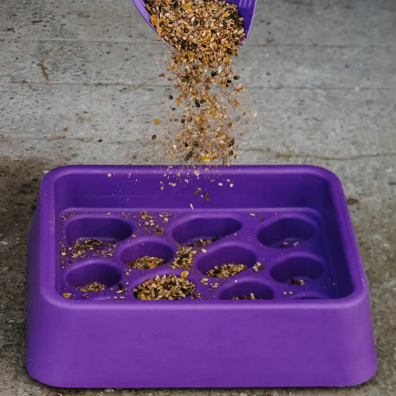 Hippo-Tonic Anti-Gorging Gradual Feeder - Purple-2
