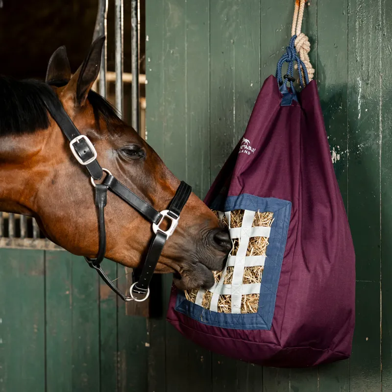 Horseware Revive Hay Bag - Fig/Navy/Silver-1