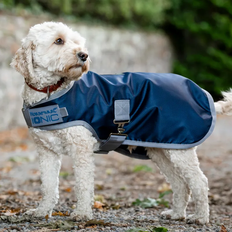 Horseware Ionic Therapy 50g Dog Coat - Imperial Blue/Silver/Navy