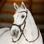 Horseware Micklem Bitless Bridle - Brown