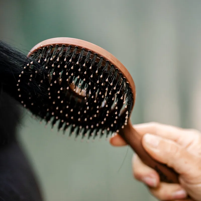 Horseware Signature Mane and Tail Brush-1