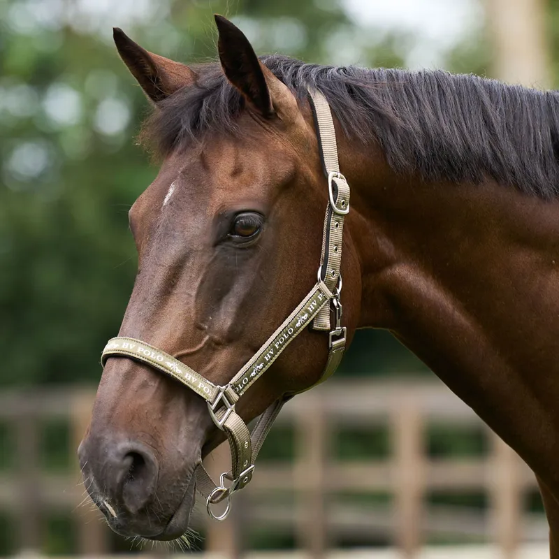 HV Polo Nena Headcollar - Straw-1
