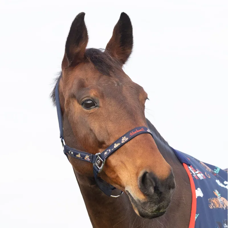 Hy Thelwell Headcollar and Lead Rope Set - Practice Makes Perfect-3