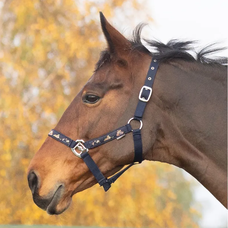 Hy Thelwell Headcollar and Lead Rope Set - Practice Makes Perfect-1