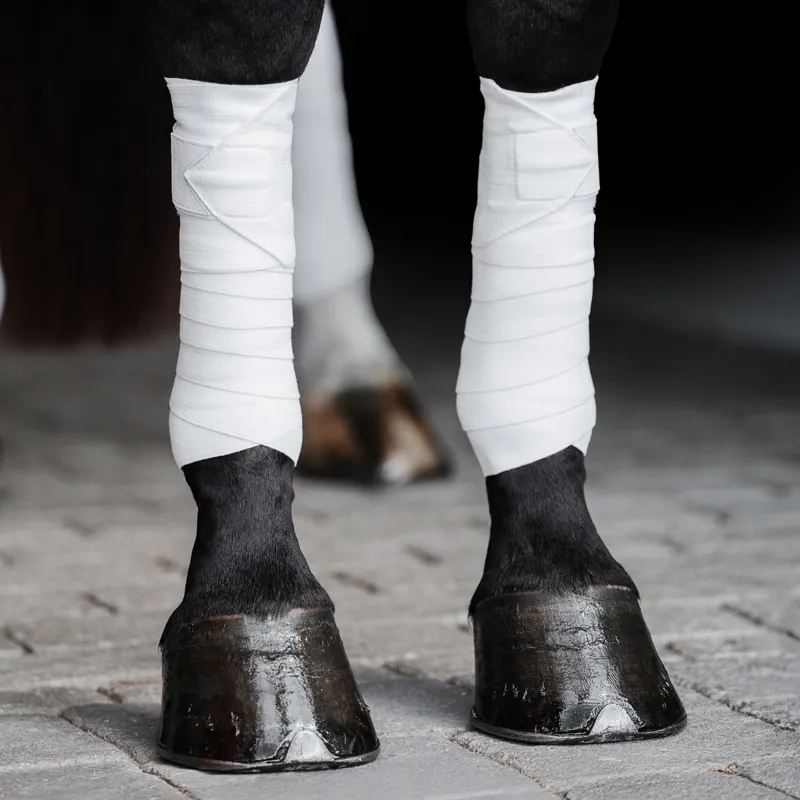 Incrediwear Equine Circulation Exercise Therapeutic Bandages - White
