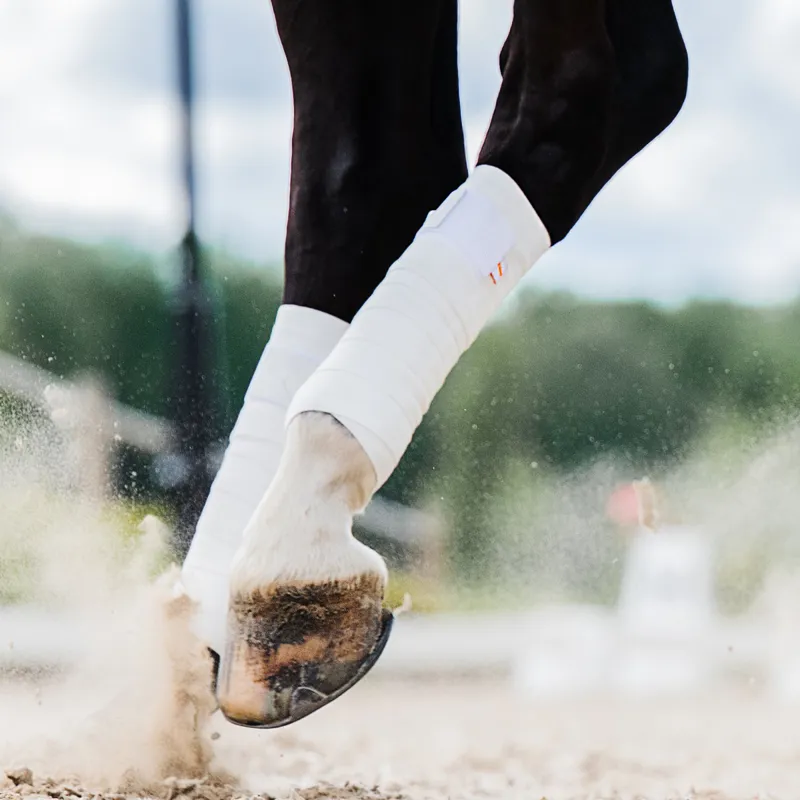 Incrediwear Equine Circulation Exercise Therapeutic Bandages - White-1