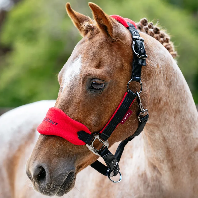 LeMieux Vogue Headcollar and Lead Rope Set - Chilli/Black-1