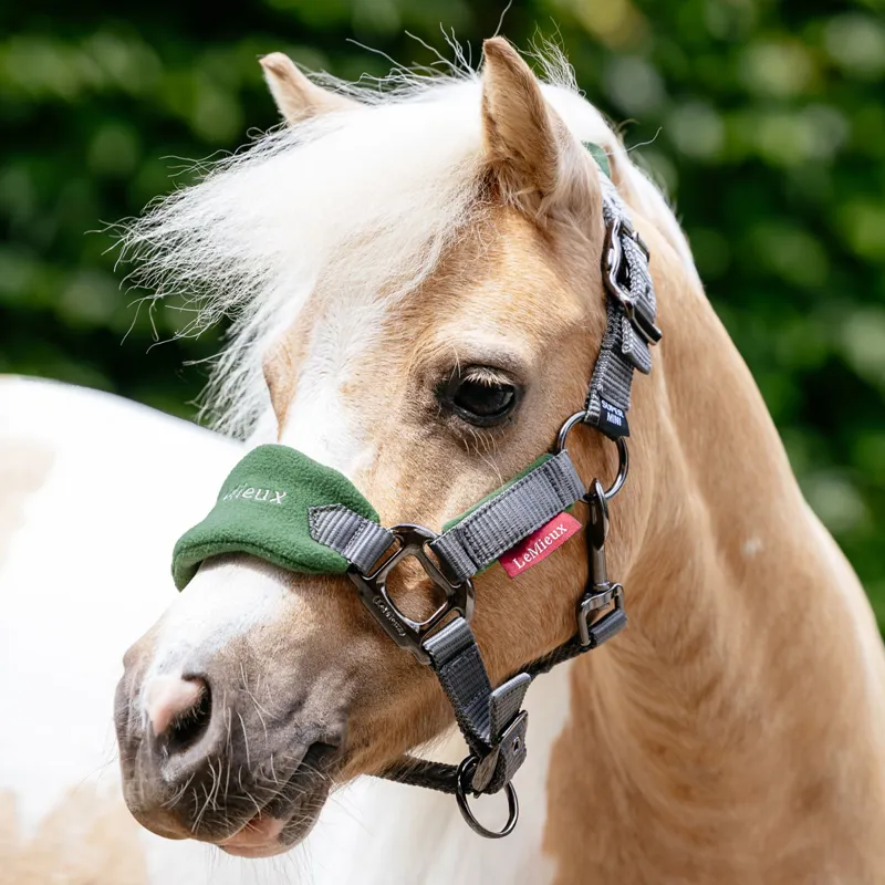 LeMieux Vogue Headcollar and Lead Rope Set - Hunter Green/Grey-1