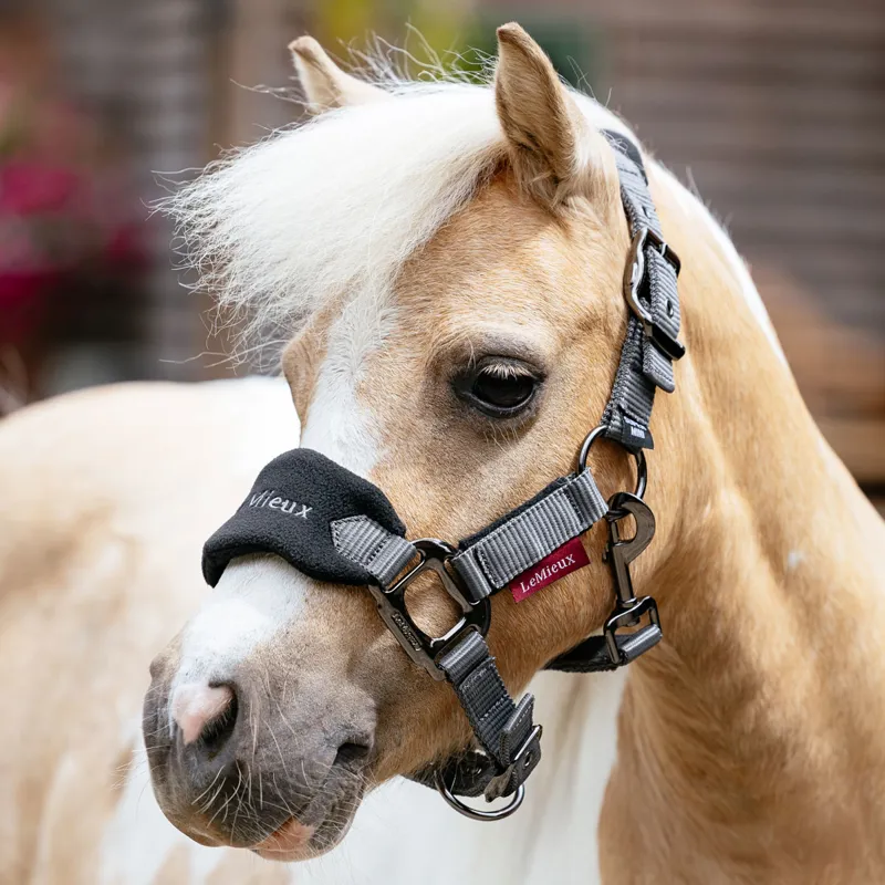 LeMieux Vogue Headcollar and Lead Rope Set - Black/Grey-3