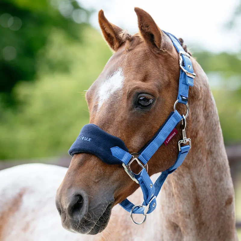LeMieux Vogue Headcollar and Lead Rope Set - Benetton Blue-1