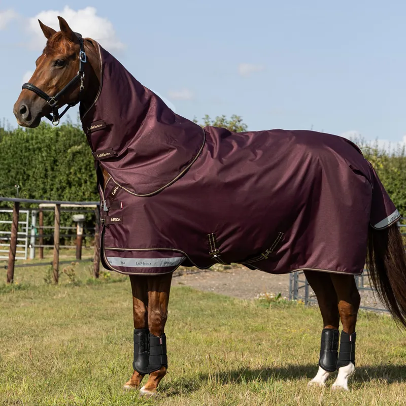 LeMieux Arika Ripstop 600D 200g Detachable Neck Turnout Rug - Bramble