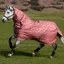 LeMieux Arika Star Detachable Neck 200g Turnout Rug - Spiced Earth