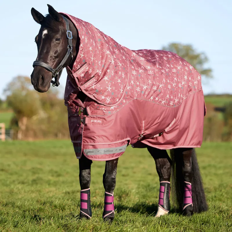 LeMieux Arika Star Detachable Neck 100g Turnout Rug - Spiced Earth