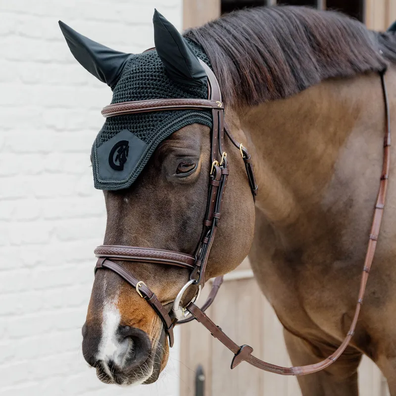 Kentucky Wellington 3D Logo Fly Veil - Pine Green