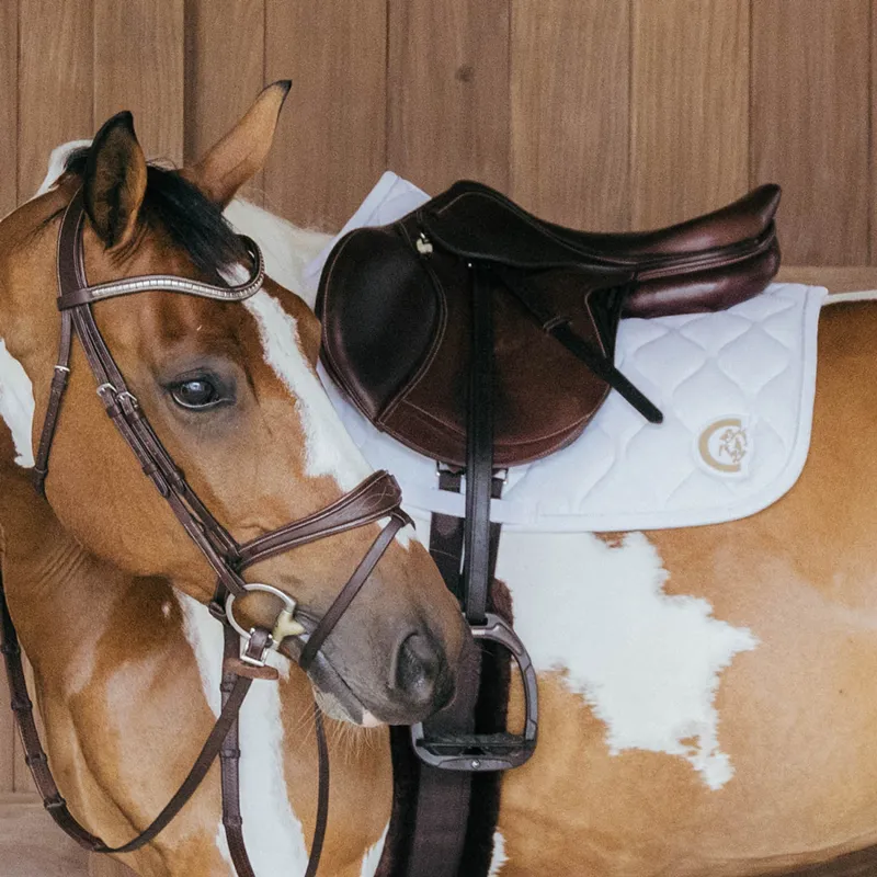 Kentucky 3D Logo Wave Jump Saddlecloth - White-2