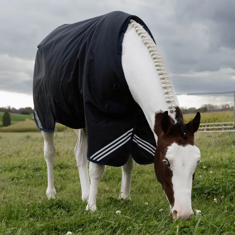 Kentucky All Weather Comfort 0g Turnout Rug - Navy