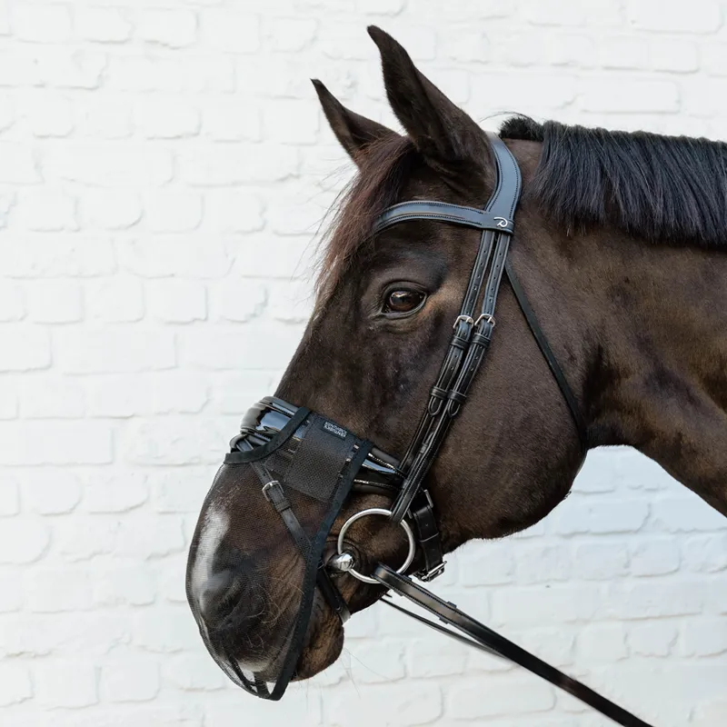 Kentucky Anti-Fly Nose Net - Black