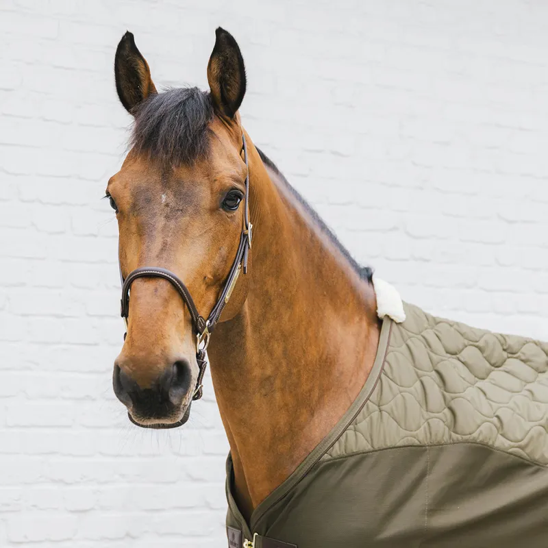 Kentucky Cooler Combo Rug - Pine Green-2