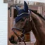Kentucky Soundless Ears Fly Veil - Dark Navy