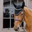 Kentucky Wellington Diamond Rope Fly Veil - Black