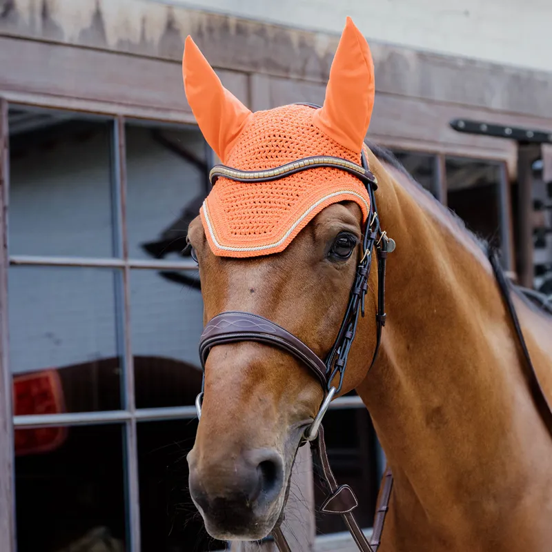 Kentucky Wellington Diamond Rope Fly Veil - Orange