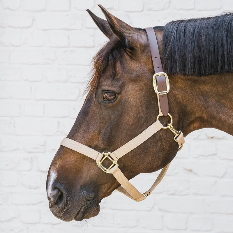 Kentucky Horsewear Nylon Breakaway Safety Headcollar - Beige/Brown