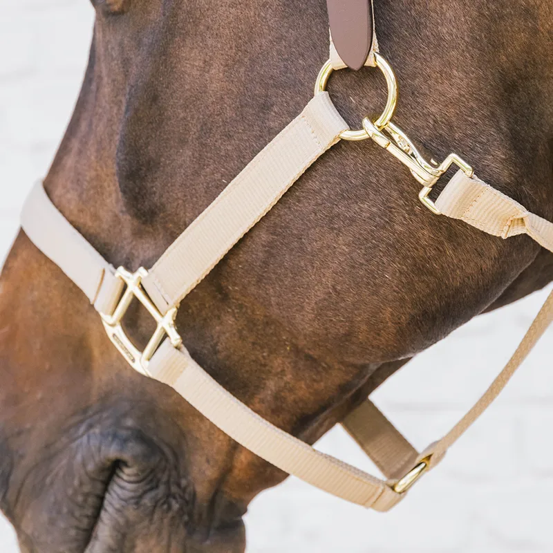 Kentucky Horsewear Nylon Breakaway Safety Headcollar - Beige/Brown-1