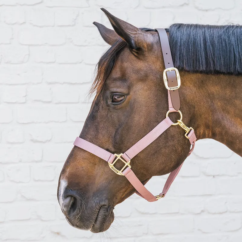 Kentucky Horsewear Nylon Breakaway Safety Headcollar - Old Rose/Brown