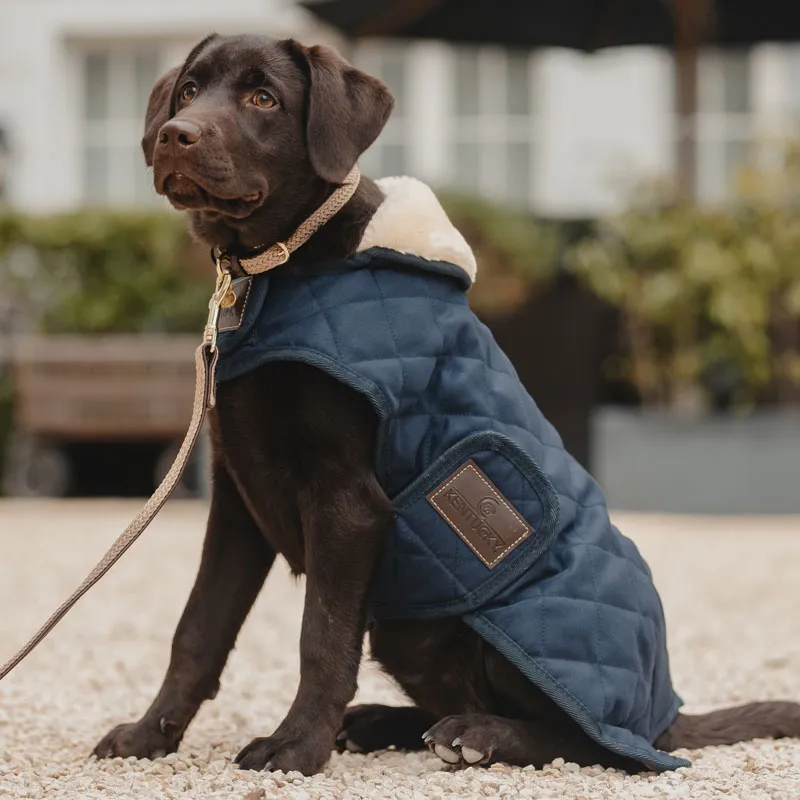 Kentucky Original Dog Coat - Navy