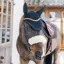 Kentucky Wellington Metal Chain Fly Veil - Black