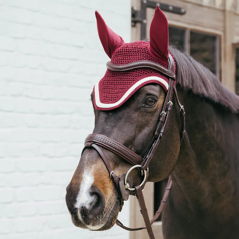 Kentucky Wellington Plaited Cord Fly Veil - Bordeaux